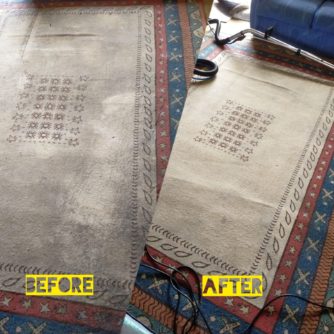 French rug urine clean