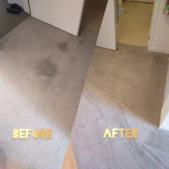 Stained apartment carpet cleaned